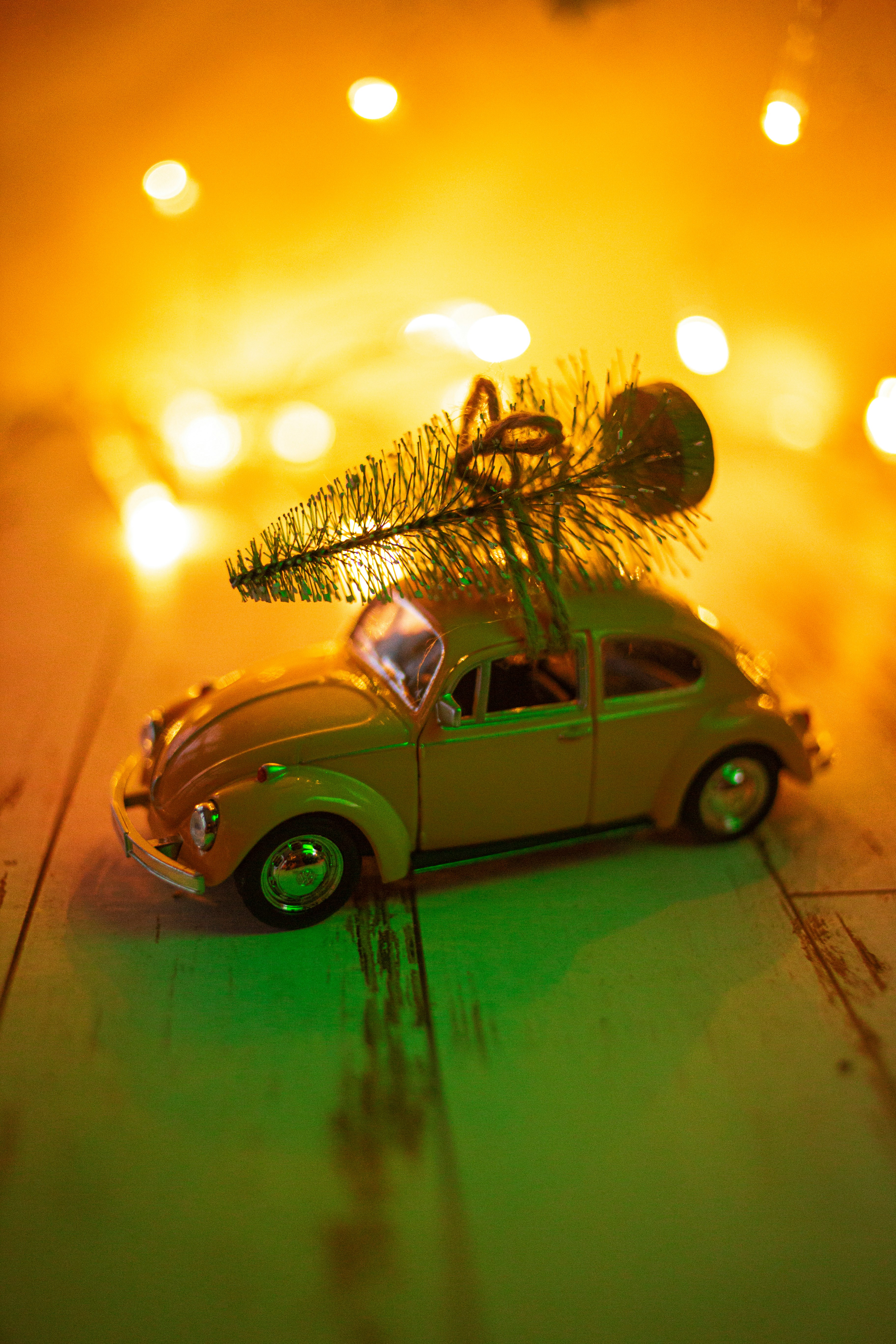 green volkswagen beetle parked beside palm tree during sunset